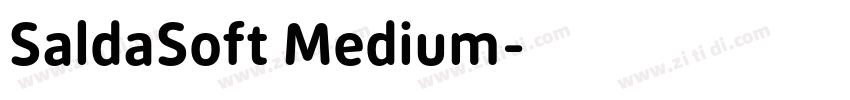 SaldaSoft Medium字体转换